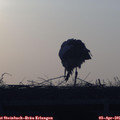 07_20-mast.jpg