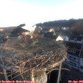 07_20-nest.jpg