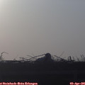 07_25-mast.jpg