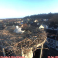 07_25-nest.jpg
