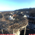 07_30-nest.jpg