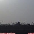 07_35-mast.jpg