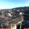 07_35-nest.jpg