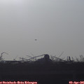 07_40-mast.jpg