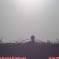 07_55-mast.jpg