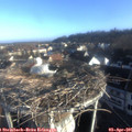 07_55-nest.jpg