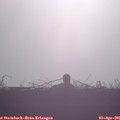 08_00-mast.jpg