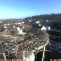 08_00-nest.jpg