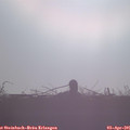 08_05-mast.jpg