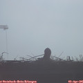 08_15-mast.jpg