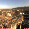 08_15-nest.jpg