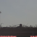 08_30-mast.jpg