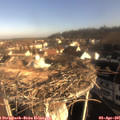 08_30-nest.jpg