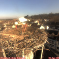08_40-nest.jpg