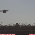 08_50-mast.jpg