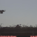 08_55-mast.jpg