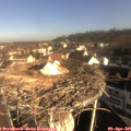08_55-nest.jpg