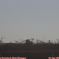 09_00-mast.jpg