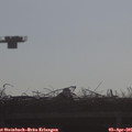 09_05-mast.jpg