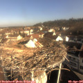 09_05-nest.jpg