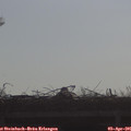 09_10-mast.jpg