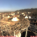 09_15-nest.jpg