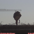 09_20-mast.jpg