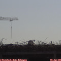 09_30-mast.jpg