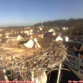 09_30-nest.jpg