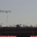 09_35-mast.jpg