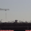 09_40-mast.jpg
