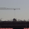 09_45-mast.jpg