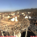 09_45-nest.jpg