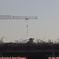 09_55-mast.jpg