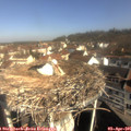 09_55-nest.jpg