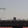 10_00-mast.jpg