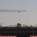 10_05-mast.jpg