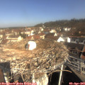 10_10-nest.jpg