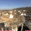 10_15-nest.jpg