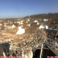 10_20-nest.jpg