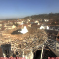 10_25-nest.jpg