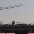 10_30-mast.jpg