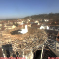 10_30-nest.jpg