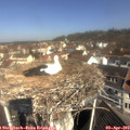 10_40-nest.jpg