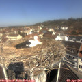 10_50-nest.jpg