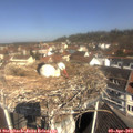 10_55-nest.jpg