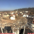11_00-nest.jpg