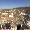 11_05-nest.jpg