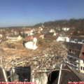 11_10-nest.jpg