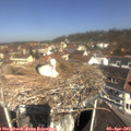 11_15-nest.jpg